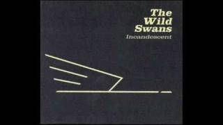 The WiLD SWANS ~ Holy Spear (Janice Long Show)