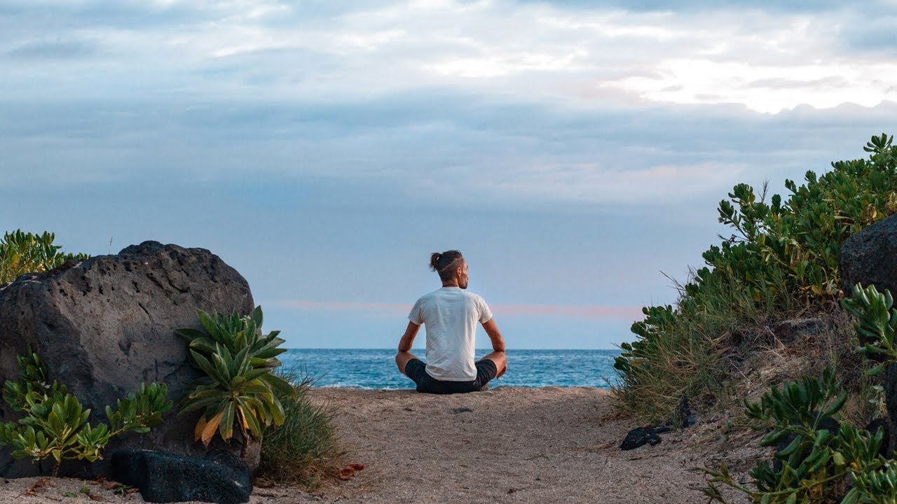 Where Have I Been? | My journey of the last 8 months