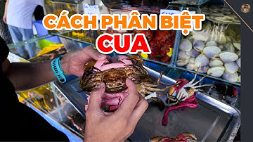 Cách Phân Biệt 4 Loại Cua Cà Mau Mọi Người Cần Phải Biết | Vựa Cua Đăng Quân