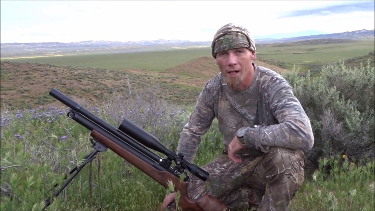 Airgun JACKRABBIT HUNTING with .30 EVOL YouTube