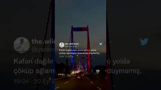 Kimse Seni Duymamış Resimi