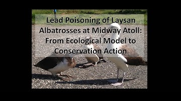 Mathematical Models (Video #2)