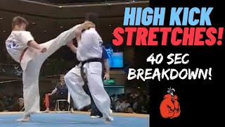 High Kick Flexibility | Static Stretches for Higher Kicks!