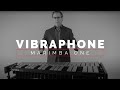 One Vibe™ (Product Spotlight)