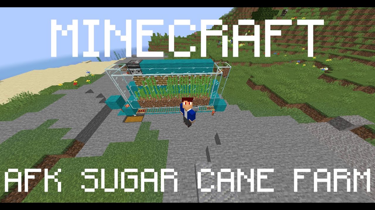 How to make AFK sugar cane farm in minecraft - YouTube
