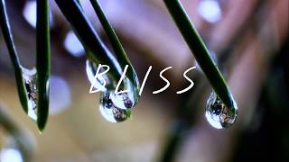 Ouse - BLISS ft. Ása S chords