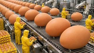 🌈🔴LIVE～Egg Sorting 🥚 2026-05-16