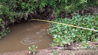 Sekali telan joranku keteteran untuk melawan ikan #SG-268