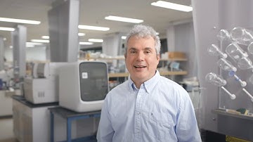 Camels, Code & Lab Coats: How AI Is Advancing Science and Medicine