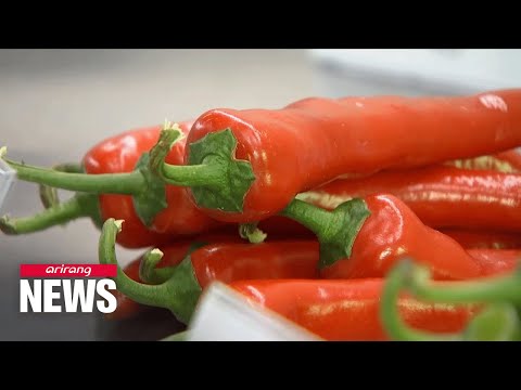 Is Korean Red Pepper Paste Spicy