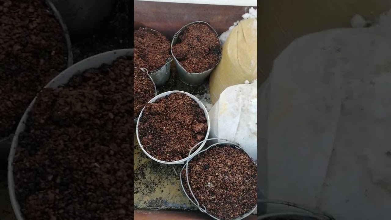 5 марта 2026 г.