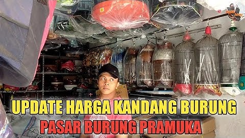WOW KANDANG DI SINI MEWAH HARGANYA JUGA MURAH | kios h. Sutikno pasar burung pramuka