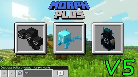 MOB MORPH PLUS V5 ALL PROBLEM SOLVE #video#minecraft