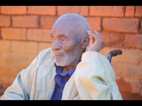 Video: Kuamua Umri Wa Pet Katika Miaka Ya 