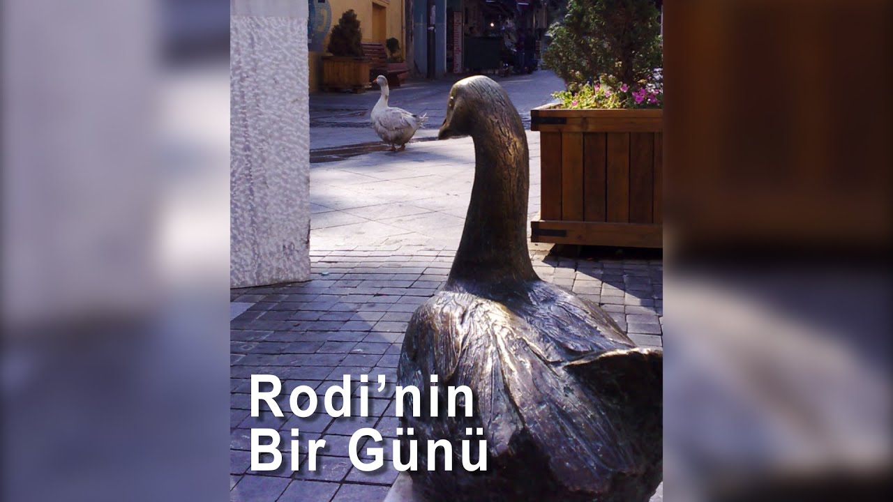 Rodi'nin Bir Günü videosundan bir kare