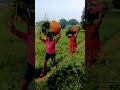 1 सितंबर 2025