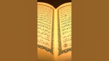 اجمل تلاوه قرانيه بصوت الشيخ مشاري راشد العفاسي سوره الفلق