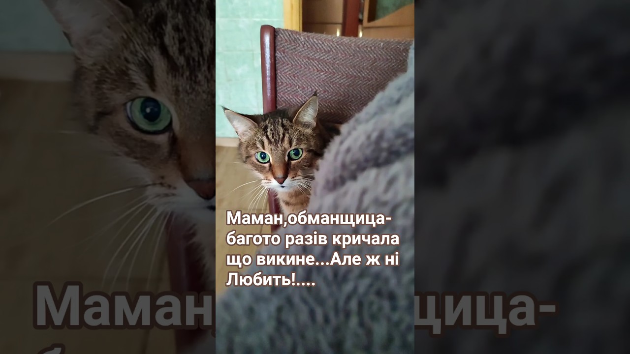 Обещания и реальность 