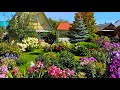 Отличные идеи как оформить садовый участок / Great ideas on how to design a garden plot