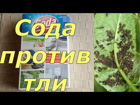 201. Безопасное и надёжное средство от тли