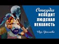 ОТКУДА ИСХОДИТ ЛЮДСКАЯ НЕНАВИСТЬ? Наука каббала: разум и чувства. Влог Ярославы /выпуск 212/