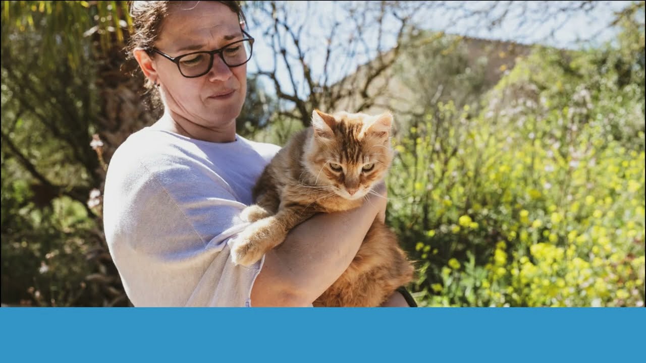 Así funciona MASCOTAFIND