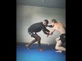 Logan paul vs israel adesayna wrestling mma ufc fight shorts shortstrending