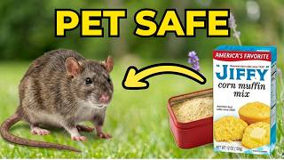 Kill Every Rat &amp; Mice In Your Home — SAFE For Pets &amp; Kids!