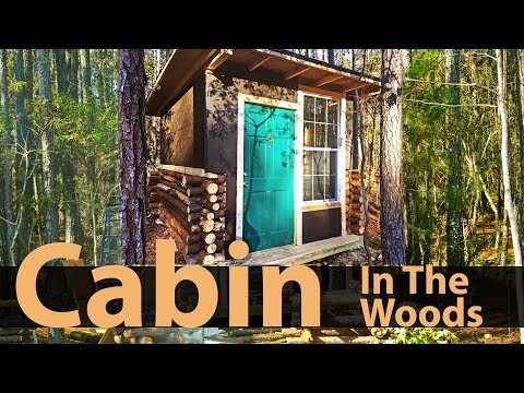 DIY Custom Log Cabin / Shed in the woods