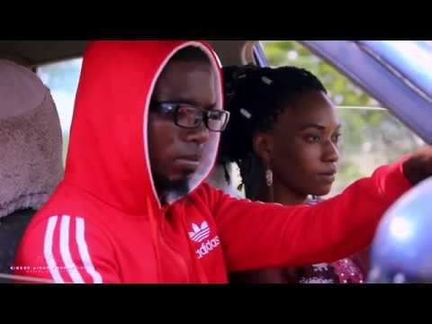 Video: Damu Katika Kifua Katika Mbwa