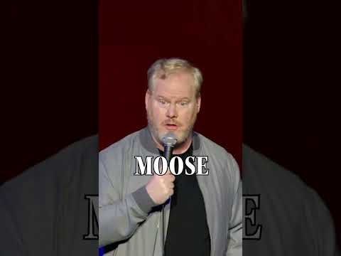There should be a warning sign when seeing a moose