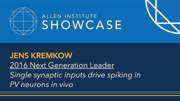 Jens Kremkow | Showcase 2017