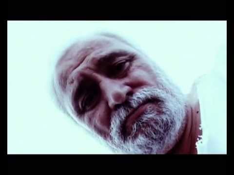 in the net... ბადეში...