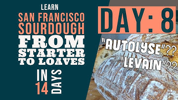 San Francisco Sourdough Bread Series: Day 8 - The Levain and Autolyse Phases