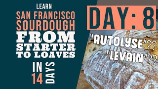 San Francisco Sourdough Bread Series: Day 8 - The Levain and Autolyse Phases