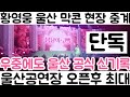 [황영웅 울산막콘 5분전 현장중계 우중에도 전국 랩핑버스 집결| 4시 이후 울산 막콘 전체 매진| 창원 전체 매진 가자]