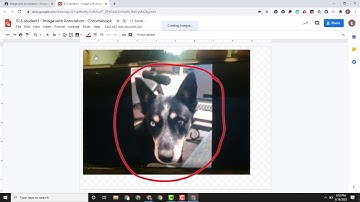 Annotation over Image - Chromebook