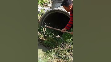 Remove Grass Grow Clog Culvert Drain #remove #unclog #culvert #shorts