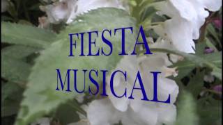 Video thumbnail of "Fiesta Musical De San Mixtepec"