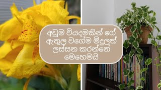 අඩම වයදමකන ග ඇතළ වගම මදලත ලසසන කරනන මහමය -Wt1Ff