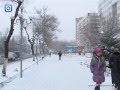 Прогноз погоды в Шымкенте на новогодние праздники