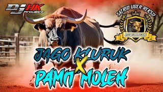 DJ BANTENGAN || JAGO KLURUK X PAMIT MOLEH || FROM DJ @Hkjuniorproject990