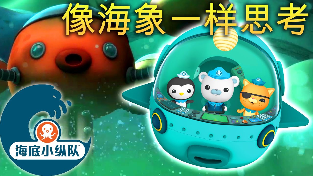 海底小纵队 - 像海象一样思考 | 集完整版