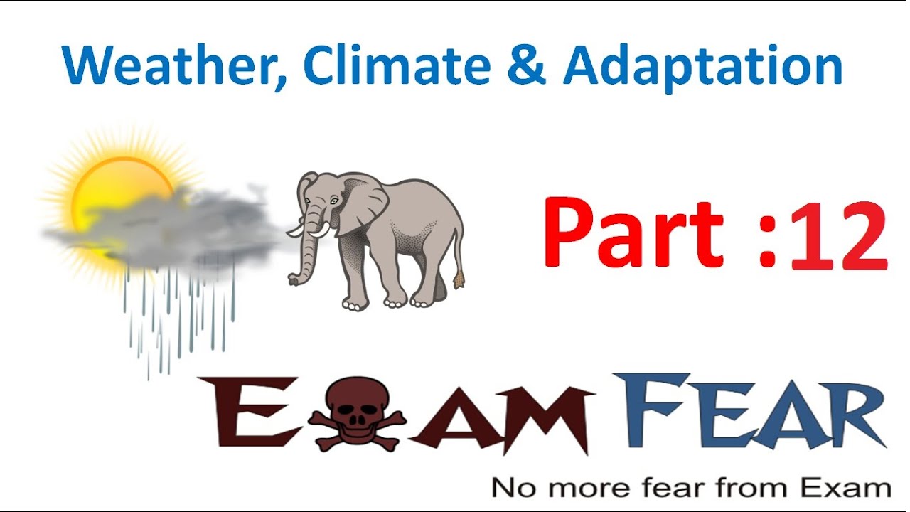 Biology Weather Climate Adaptation Part 12 (Adaptation in Elephants,  Camels) Class 7 VII - YouTube