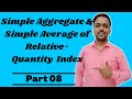 Simple Aggregate And Simple Average Of Relative - Quantity Index | Part 8