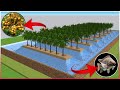Integrated coconut and fish farming  integrated farming system planning  ideas  farm design