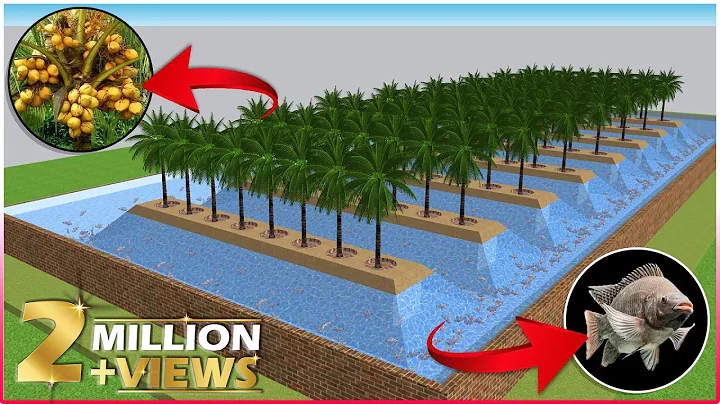 Integrated COCONUT and FISH Farming | Integrated Farming System Planning & Ideas | Farm Design