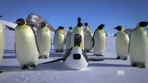 Penguins Spy in the Huddle - Nat Geo WILD