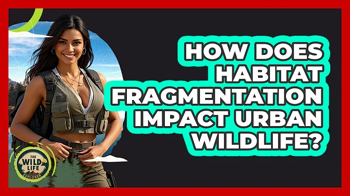 How Does Habitat Fragmentation Impact Urban Wildlife? - The Wild Life Explorer