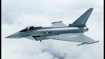 1v1 Eurofighter ACE Falcon BMS 4.36